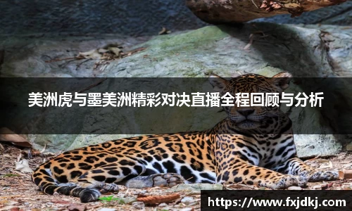 JBO竞博体育平台